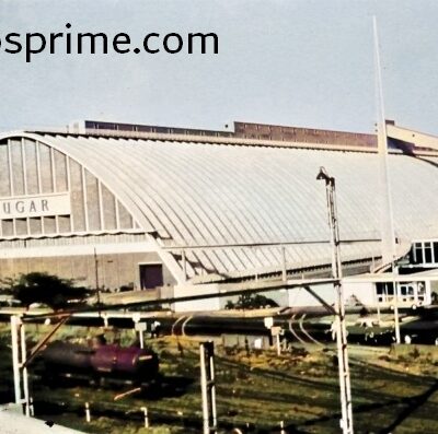 PICT00055a-1ee-1em-400x397 Património