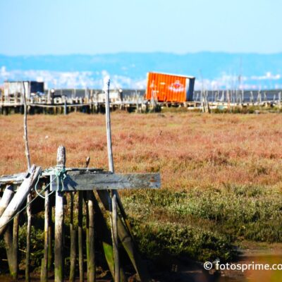 DSC_0027axm-400x400 Património