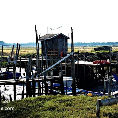 Retro-Revival-Photos-2014-Human-Activity-2gxm-400x400 Património