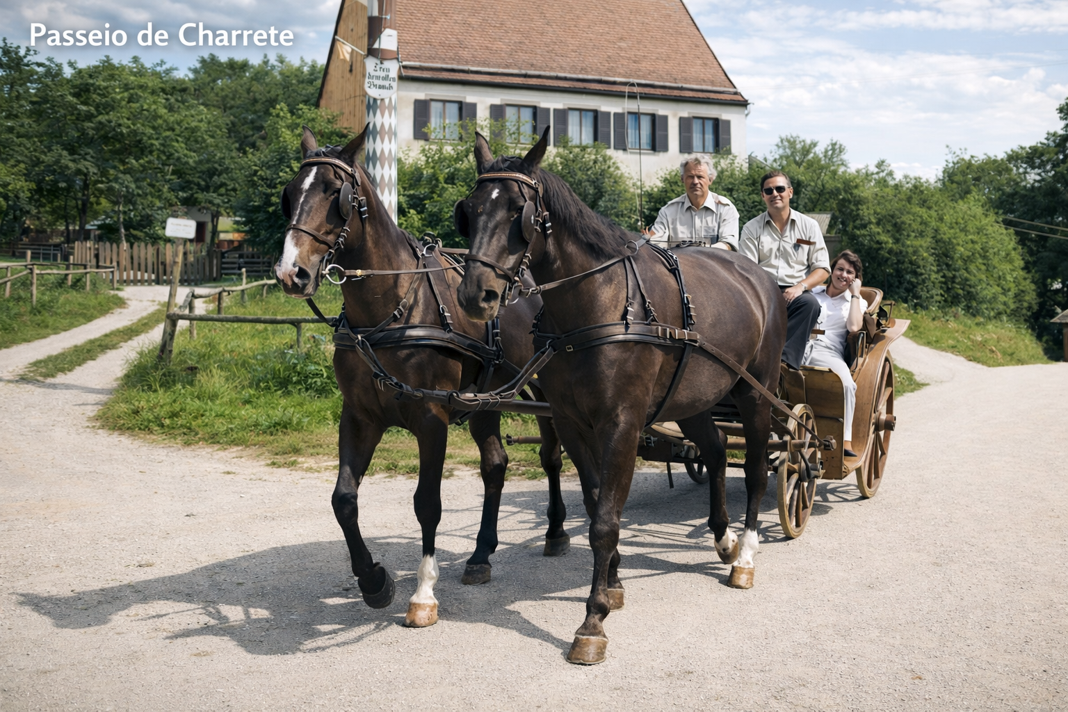 Passeio de charrete no campo