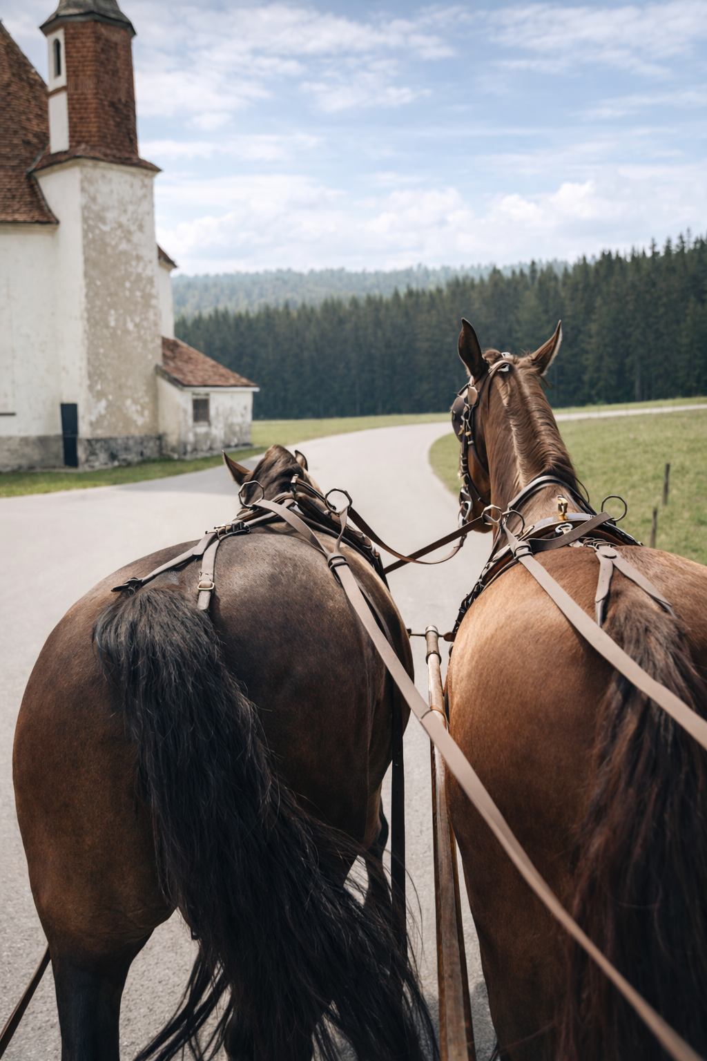 Carroça puxada por cavalos em estrada