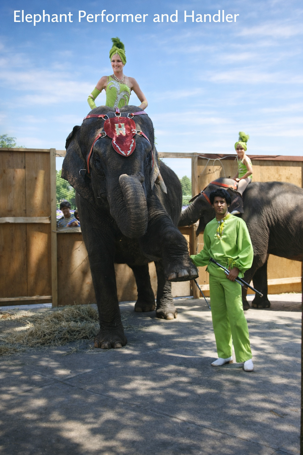 Elephant Performer and Handler