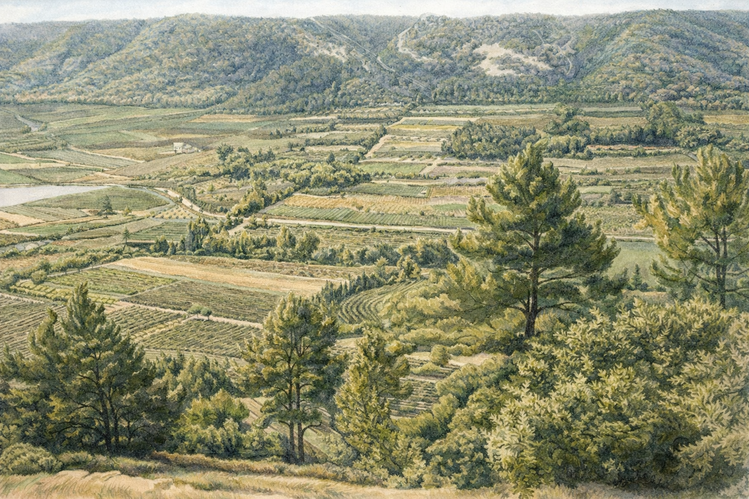 Paisagem rural com campos e colinas
