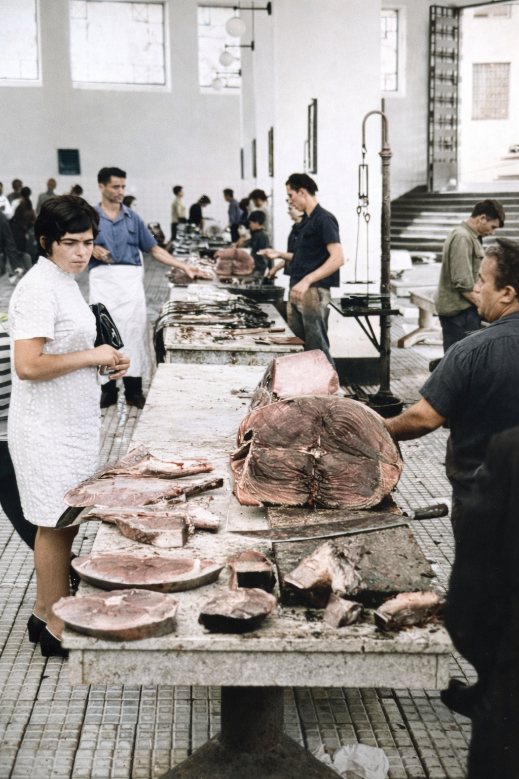 Mercado de peixe em ambiente iluminado