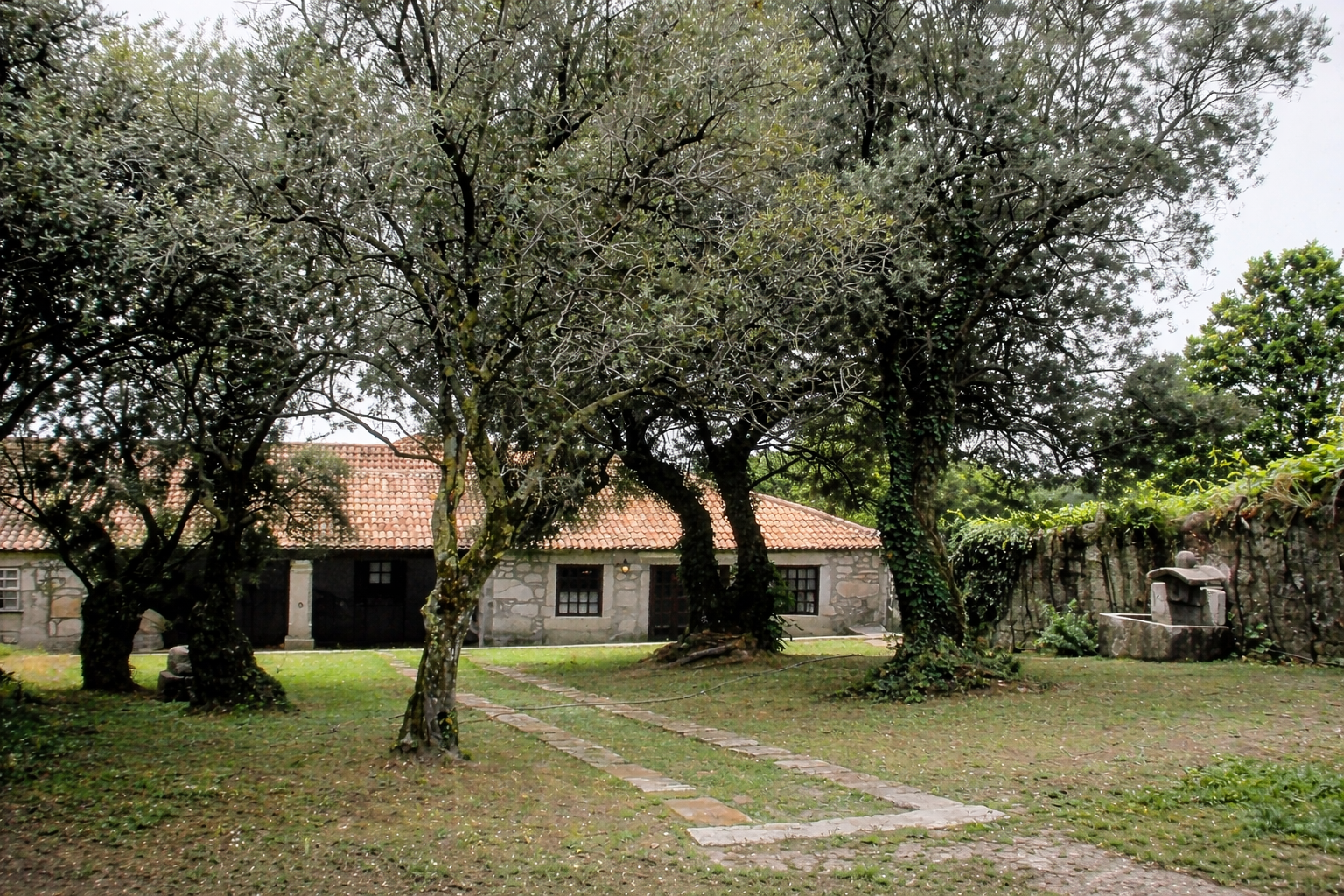 Casa de pedra entre oliveiras antigas