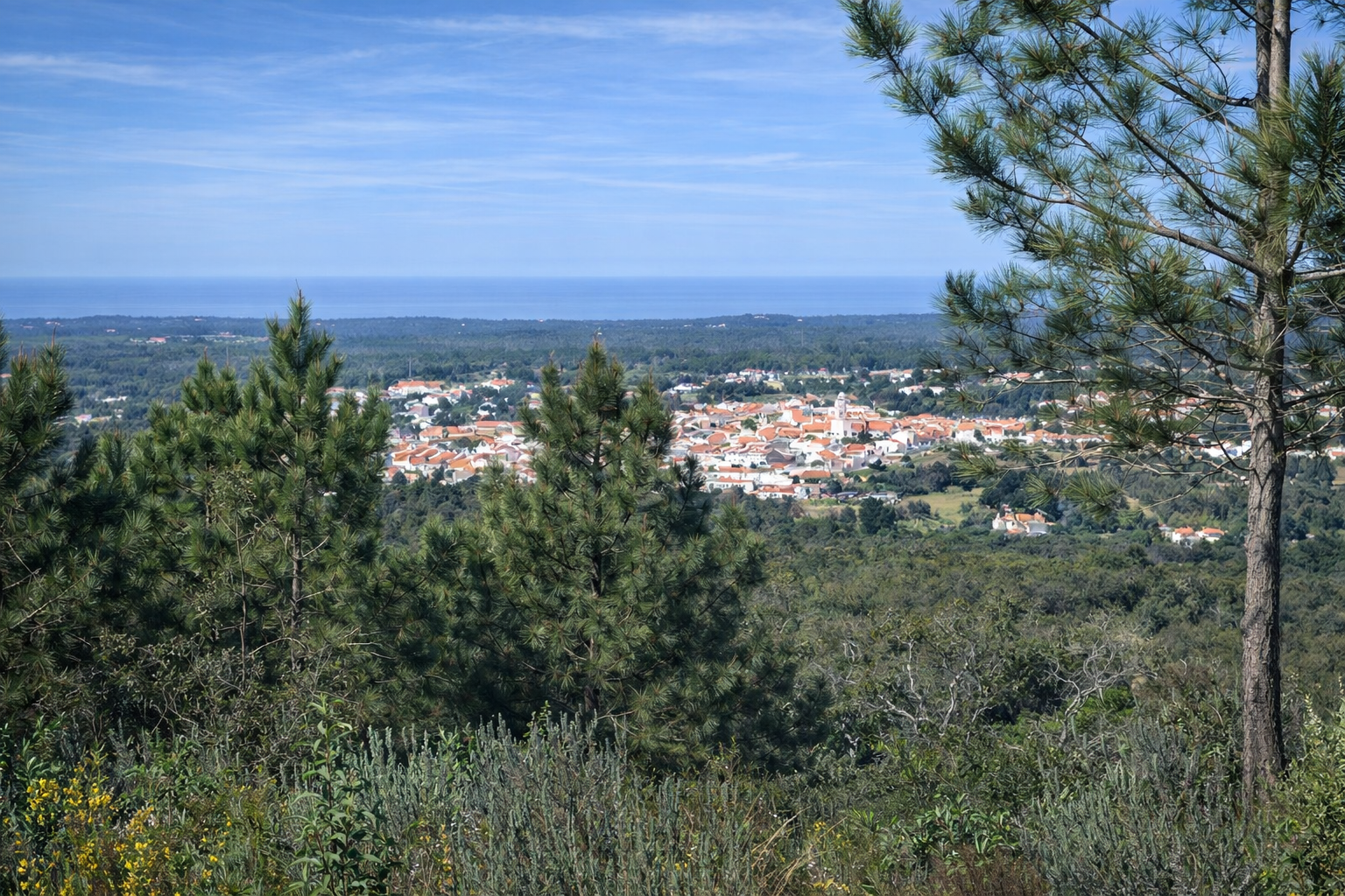 Paisagem rural com vila e oceano