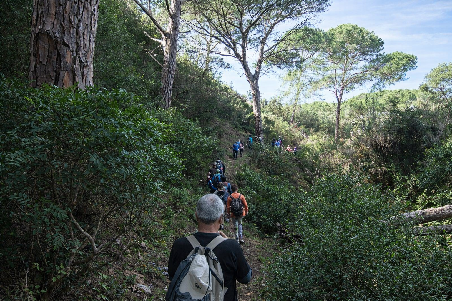 Caminhada pela trilha na floresta