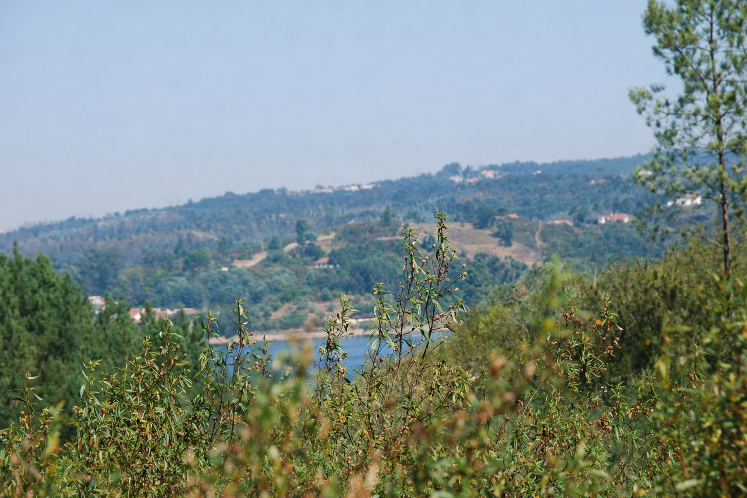 Paisagem rural com vista para o lago