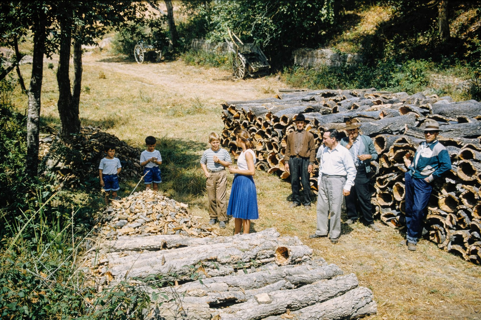 Grupo em experiência na floresta