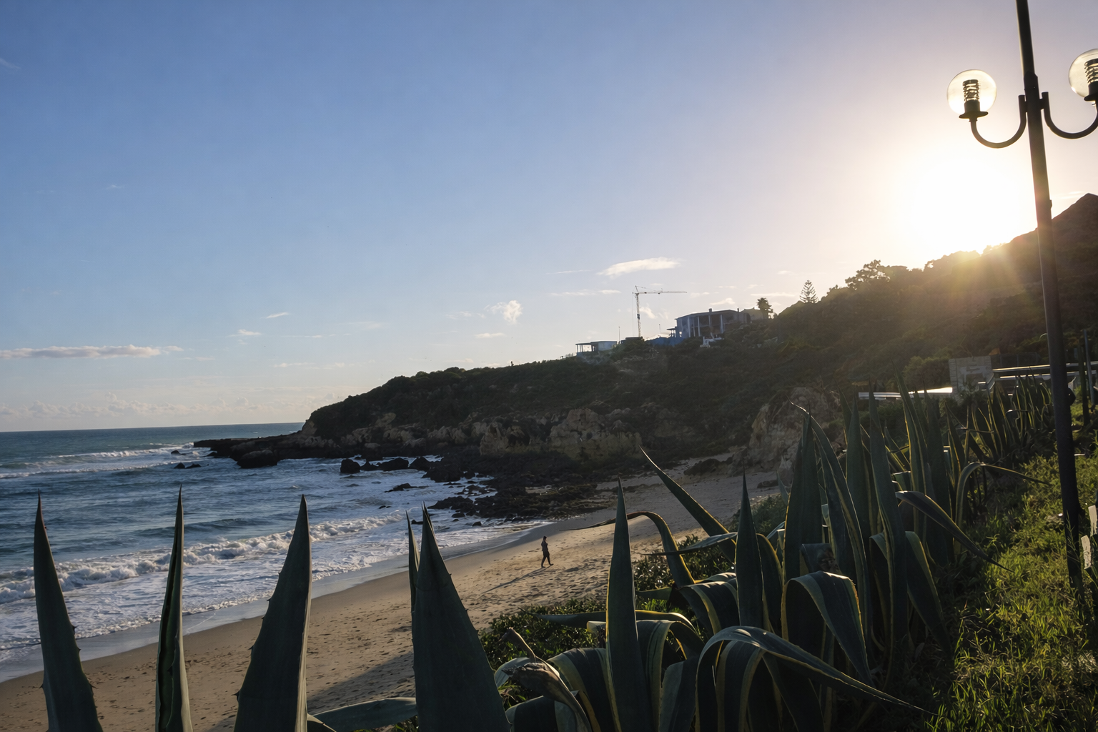 Praia ao pôr do sol com agave