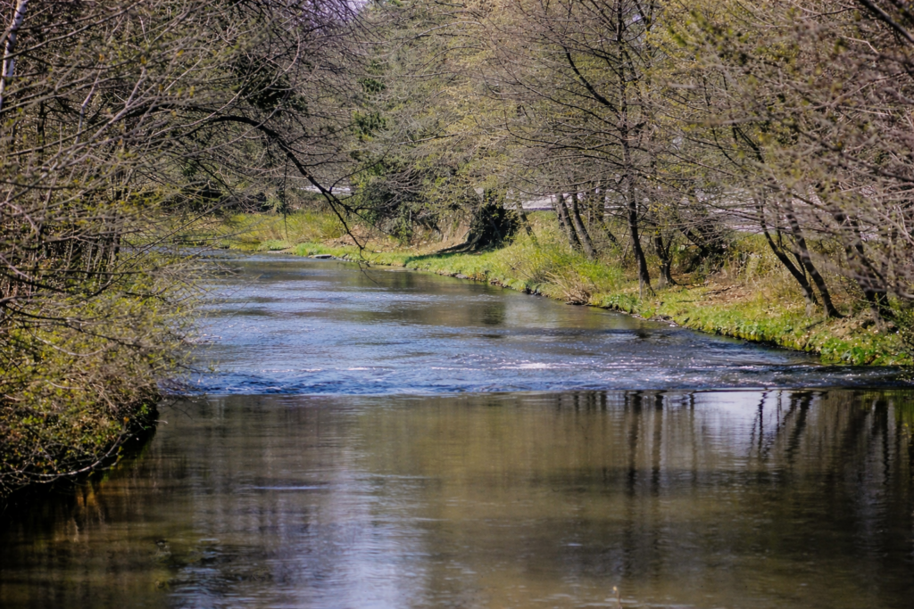 Rio tranquilo na primavera
