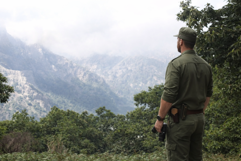 Ranger observando as montanhas enevoadas
