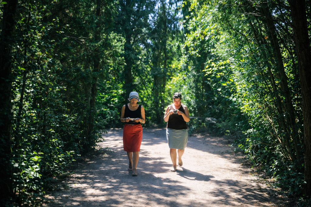 Caminho sombreado na floresta verdejante