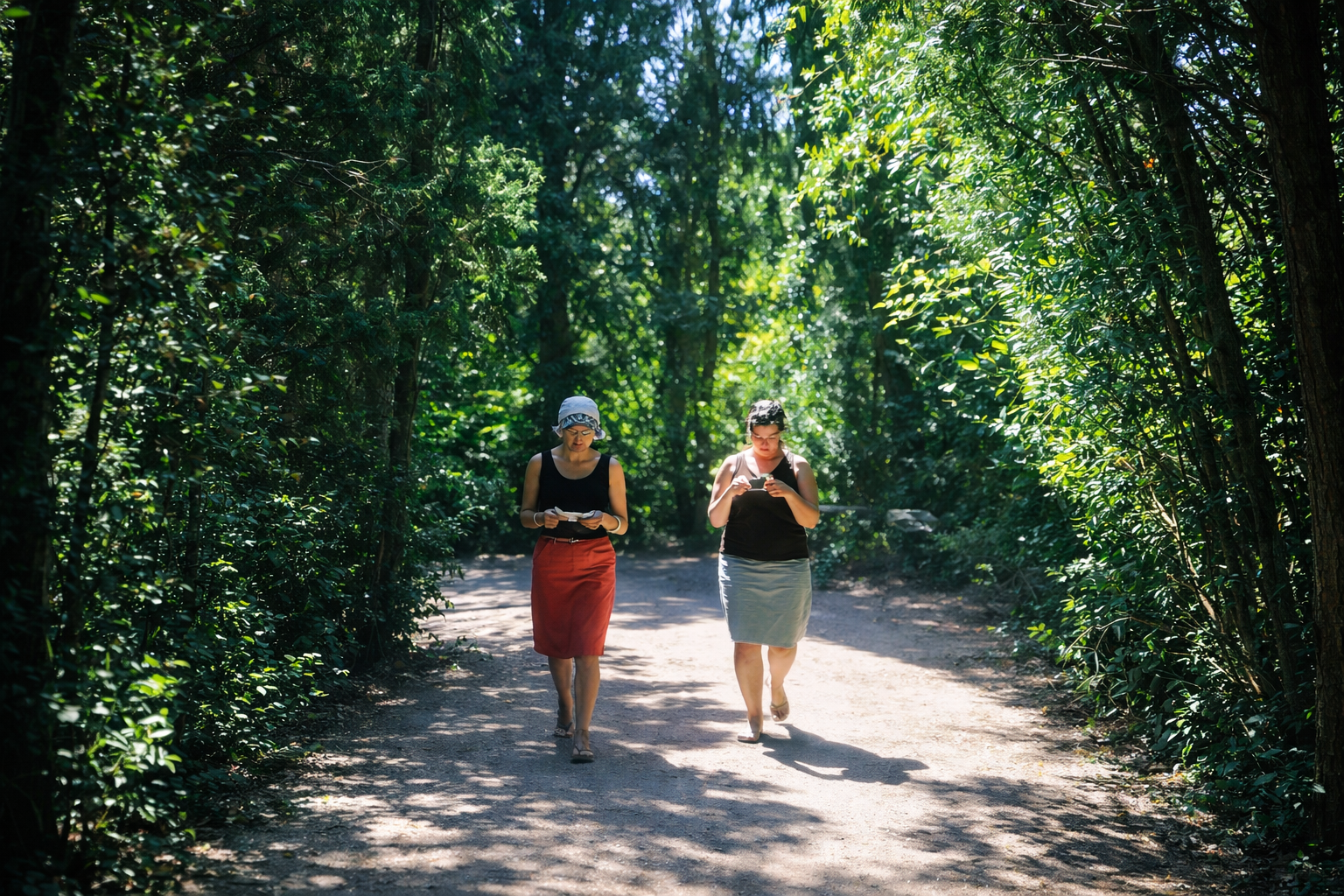 Caminho sombreado na floresta verdejante