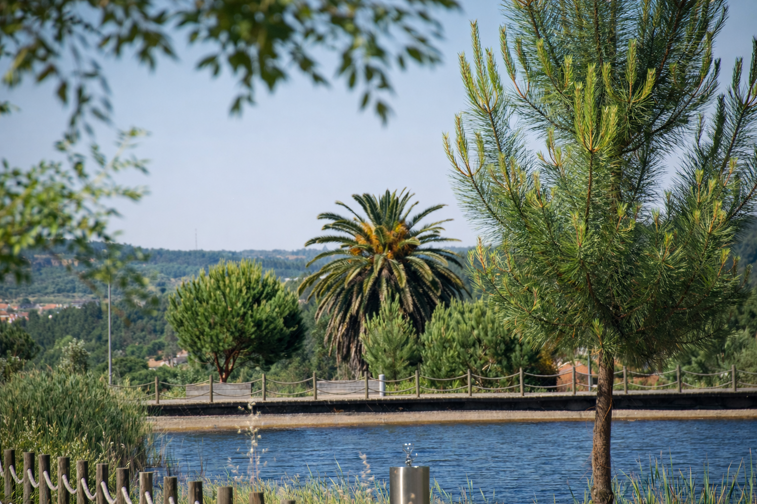 Paisagem tranquila à beira-lago