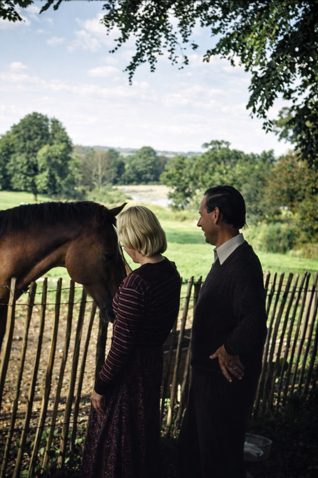 Casal observa cavalo na paisagem campestre