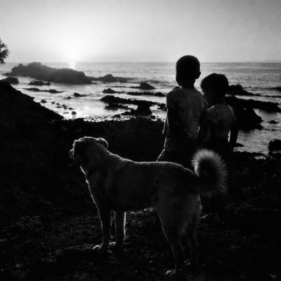 Crianças e cão ao pôr-do-sol