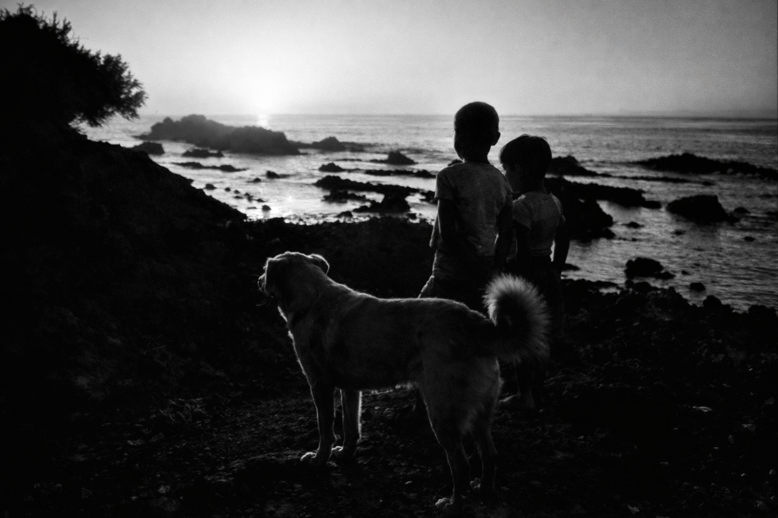 Crianças e cão ao pôr-do-sol