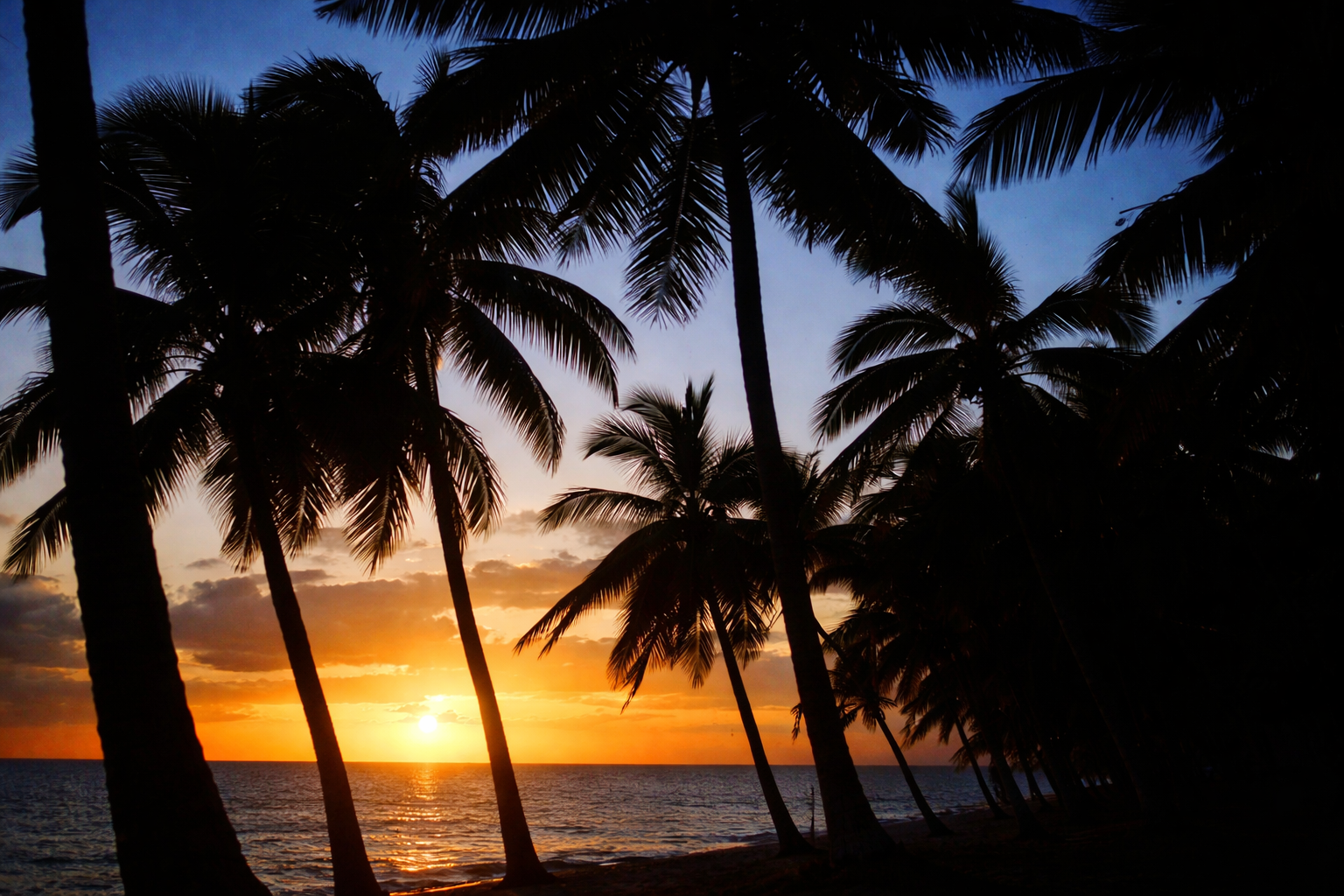 Pôr do sol tropical na praia