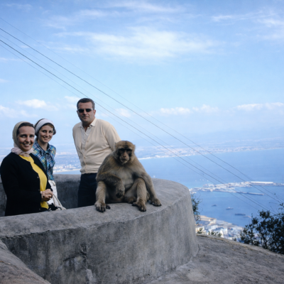 Observando o porto com macaco