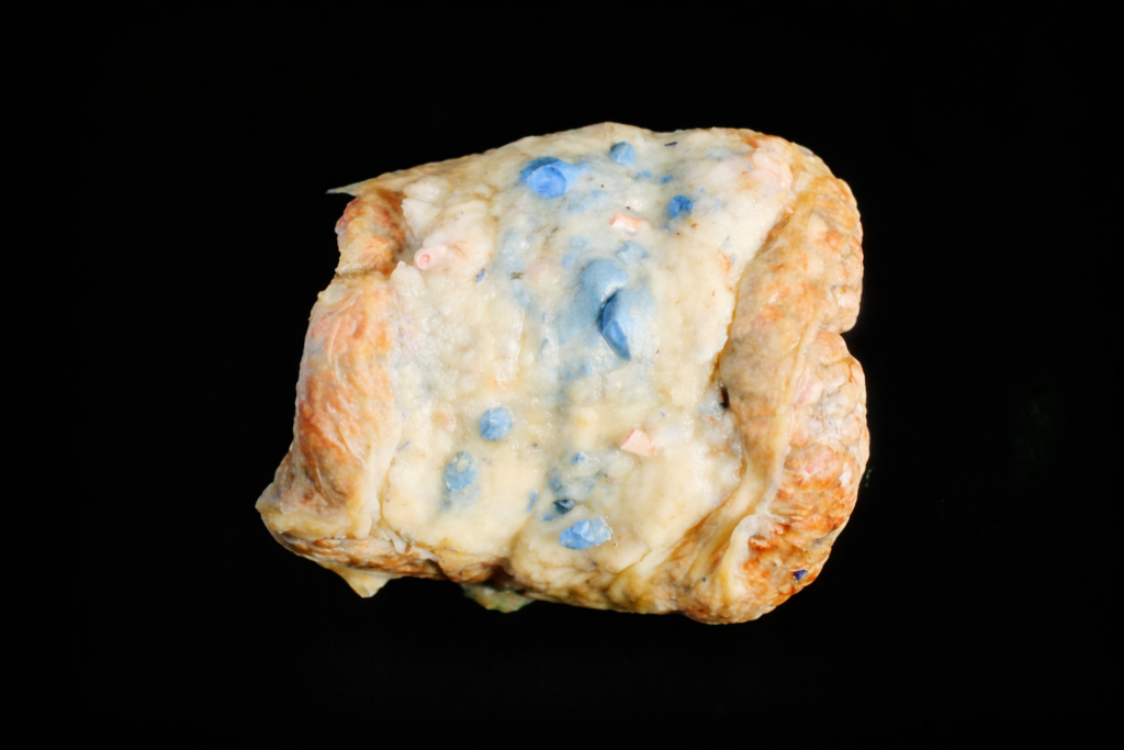 Queijo azul em alta resolução