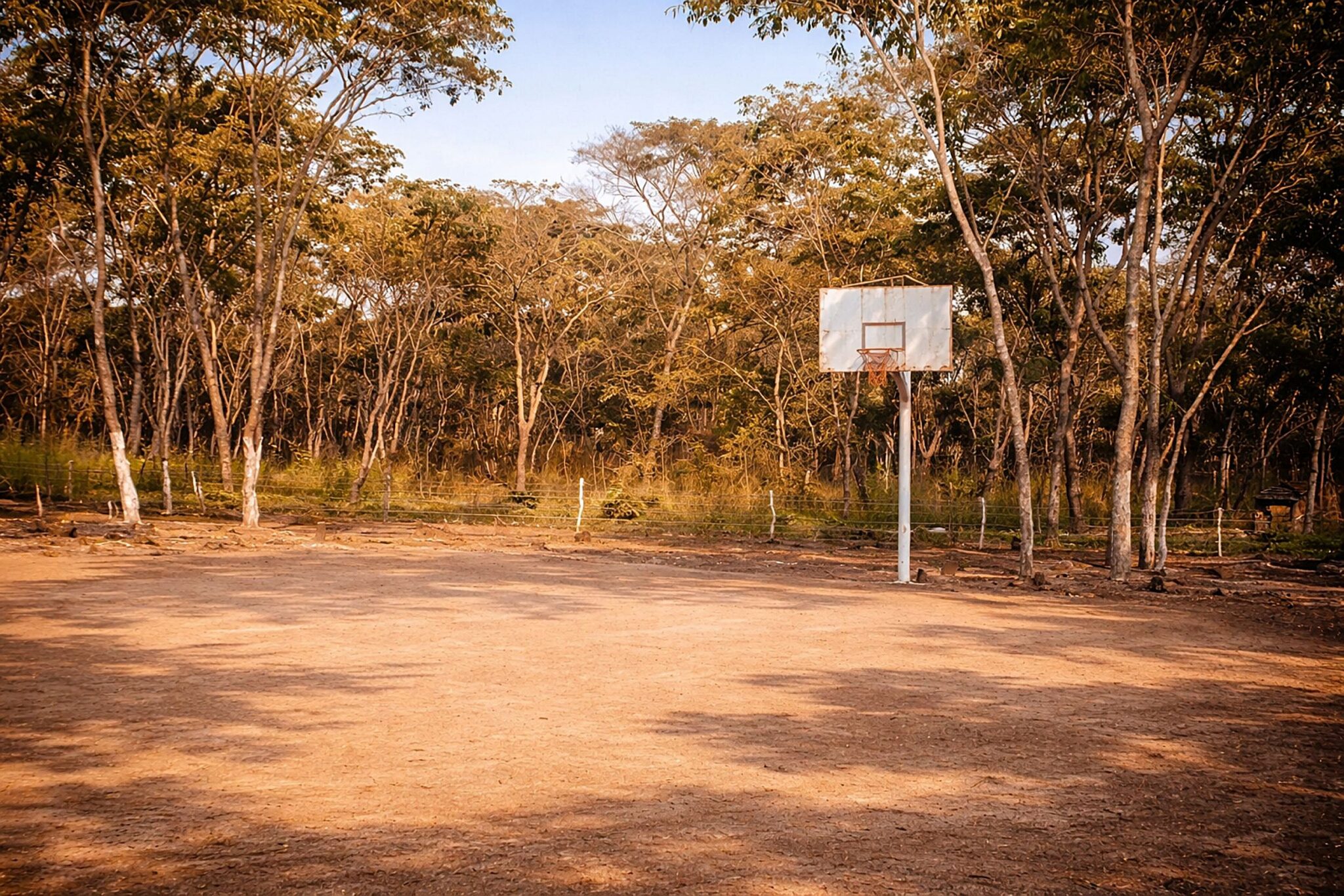 Campo de basquete no bosque
