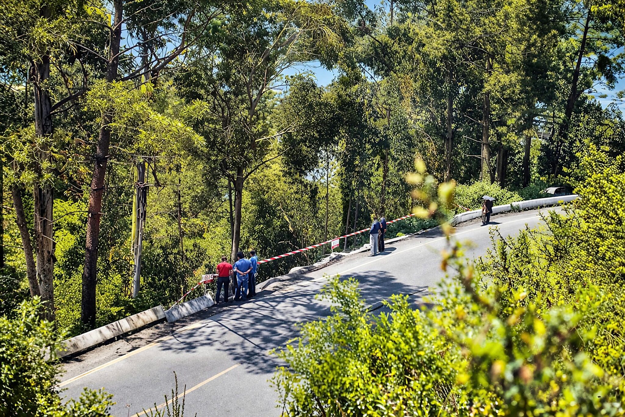 Estrada sinuosa numa floresta iluminada