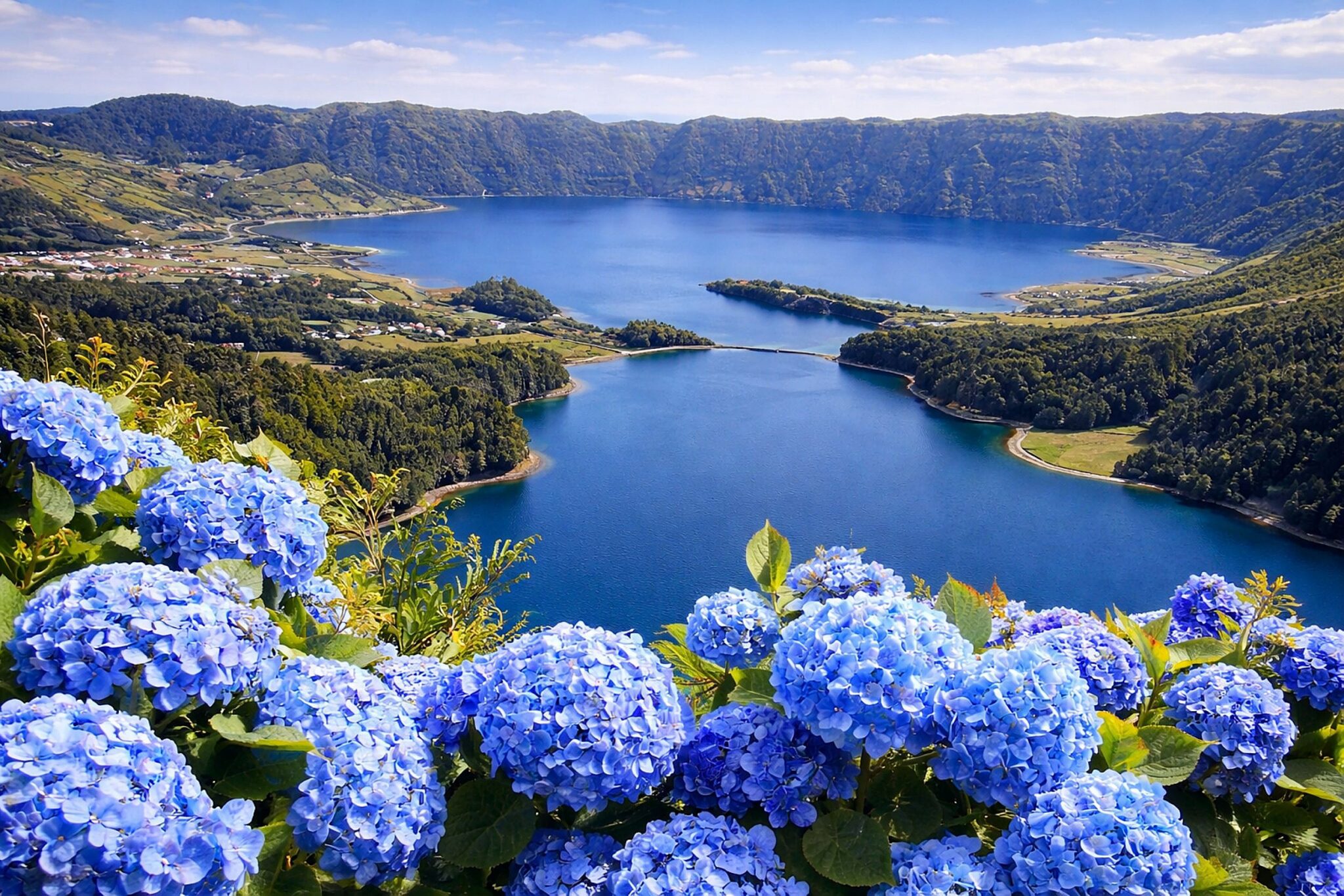 Lagos de Sete Cidades e hortênsias
