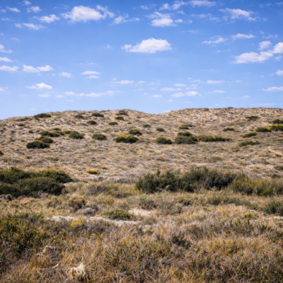Colinas áridas e vegetação costeira