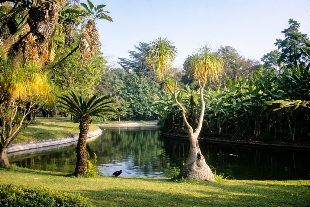 Parque tropical sereno com lago