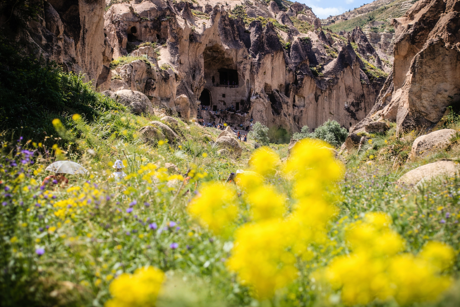 Flores silvestres e cavernas antigas em Capadócia