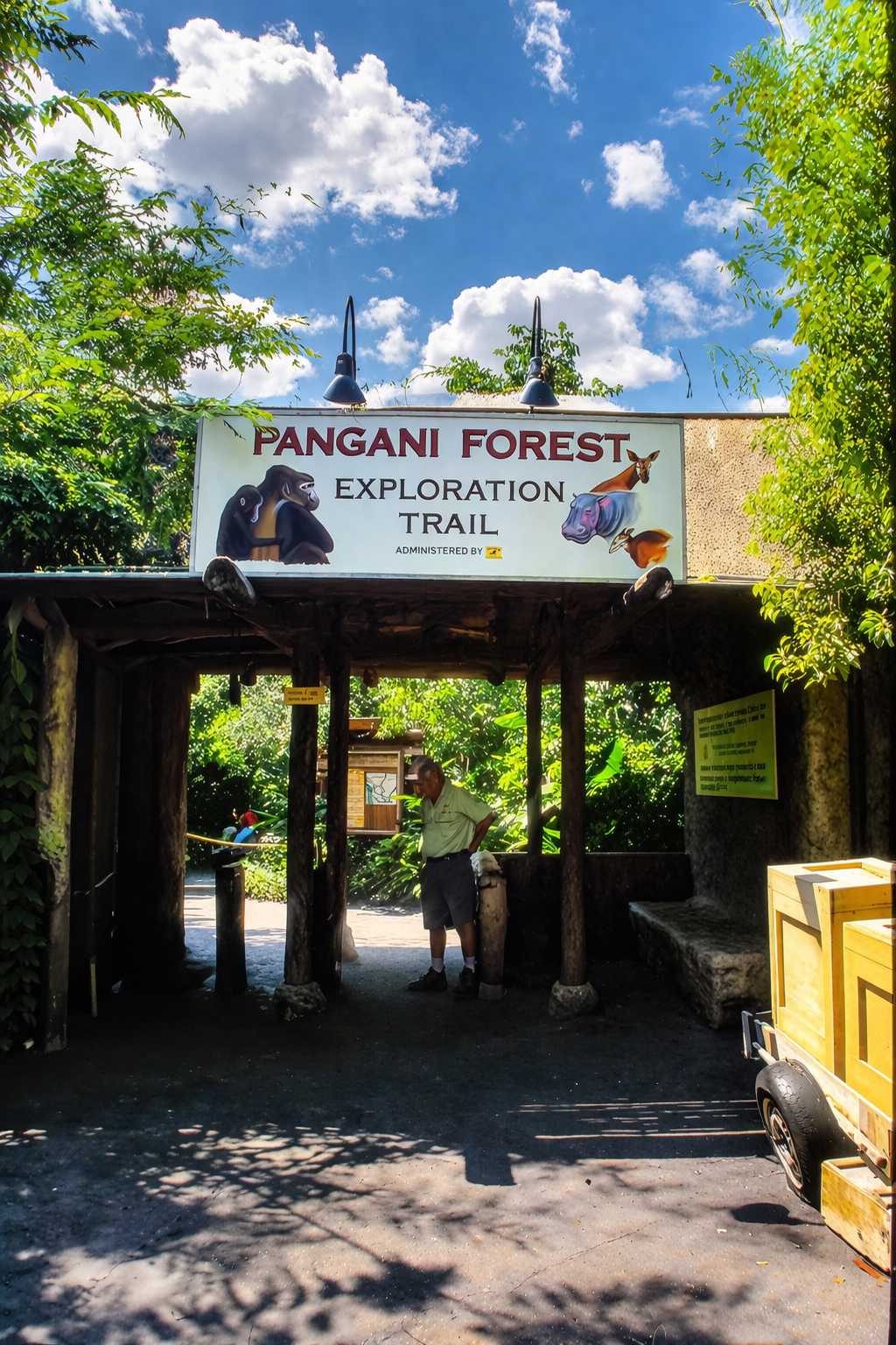 Entrada para a trilha Pangani Forest