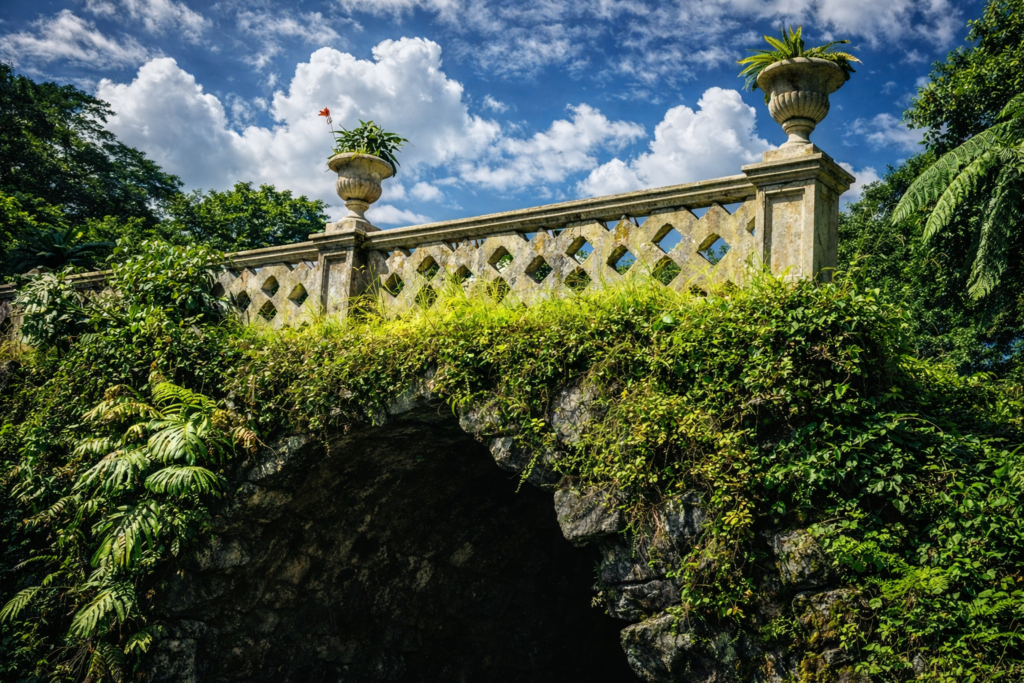 Ponte de pedra no bosque verdejante