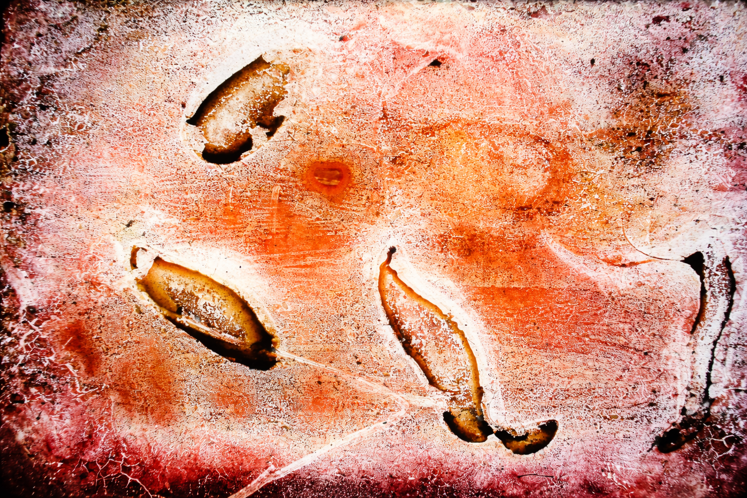 Formas crescentes em texturas ardentes