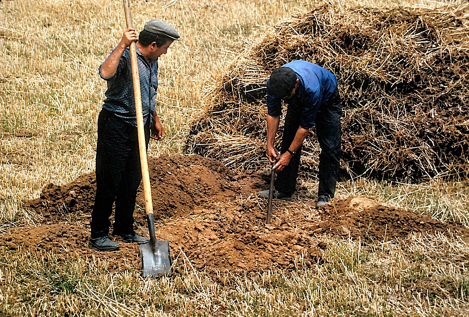 Trabalhadores rurais no campo seco