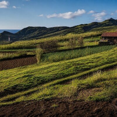 Paisagem rural costeira com campos verdes