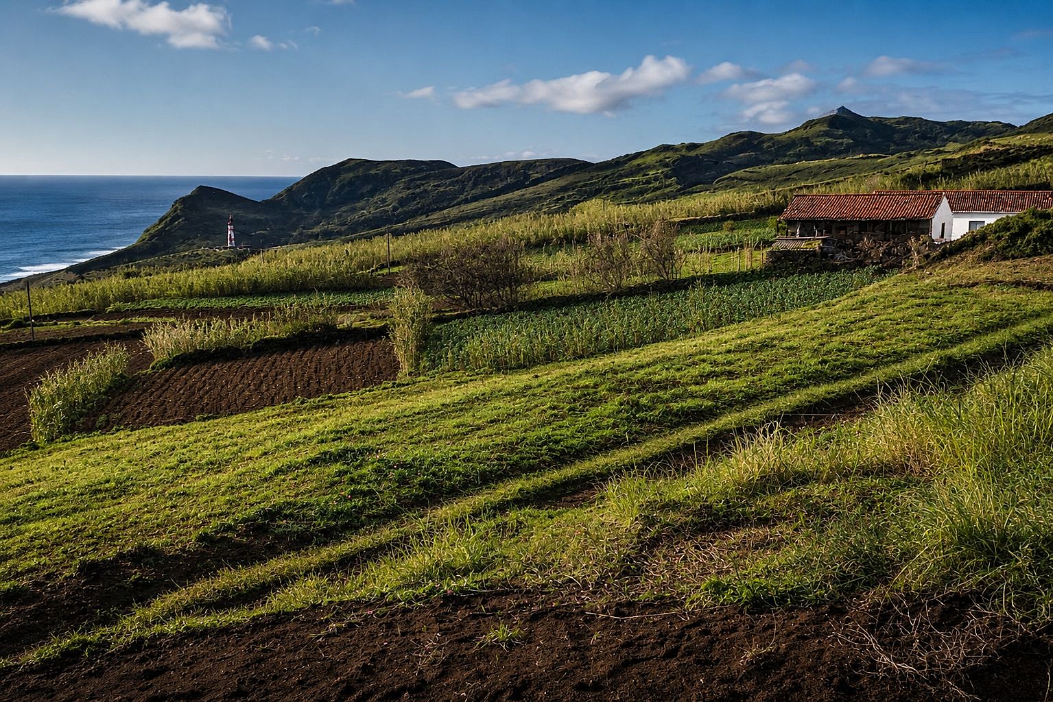 Paisagem rural costeira com campos verdes