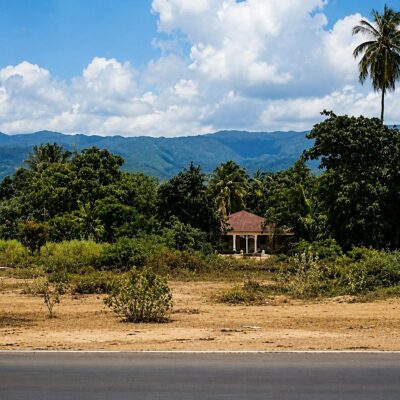 Cenário tropical com casa e palmeiras