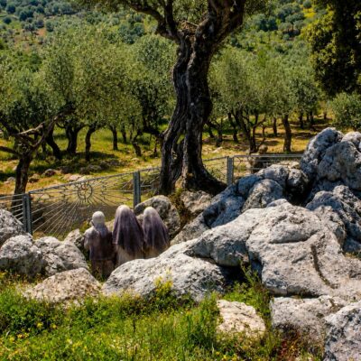 Paisagem mediterrânea com estátuas e oliveiras
