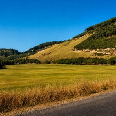 Paisagem dourada sob céu azul claro