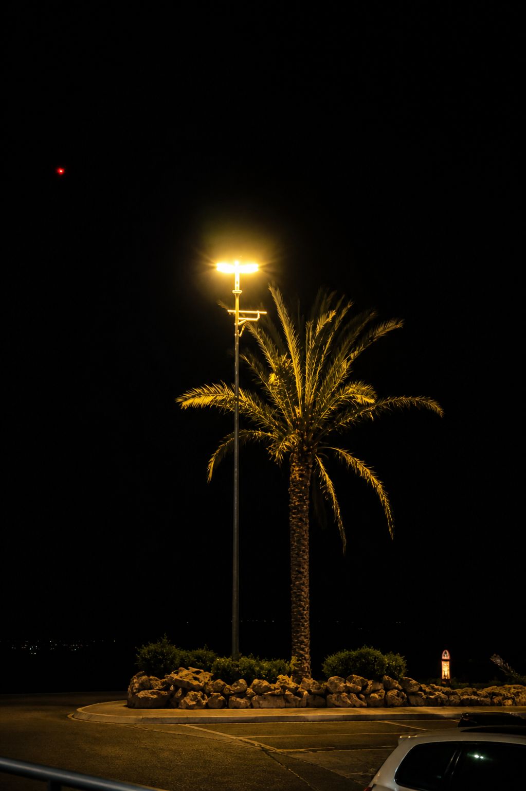 Luz do poste e palma à noite