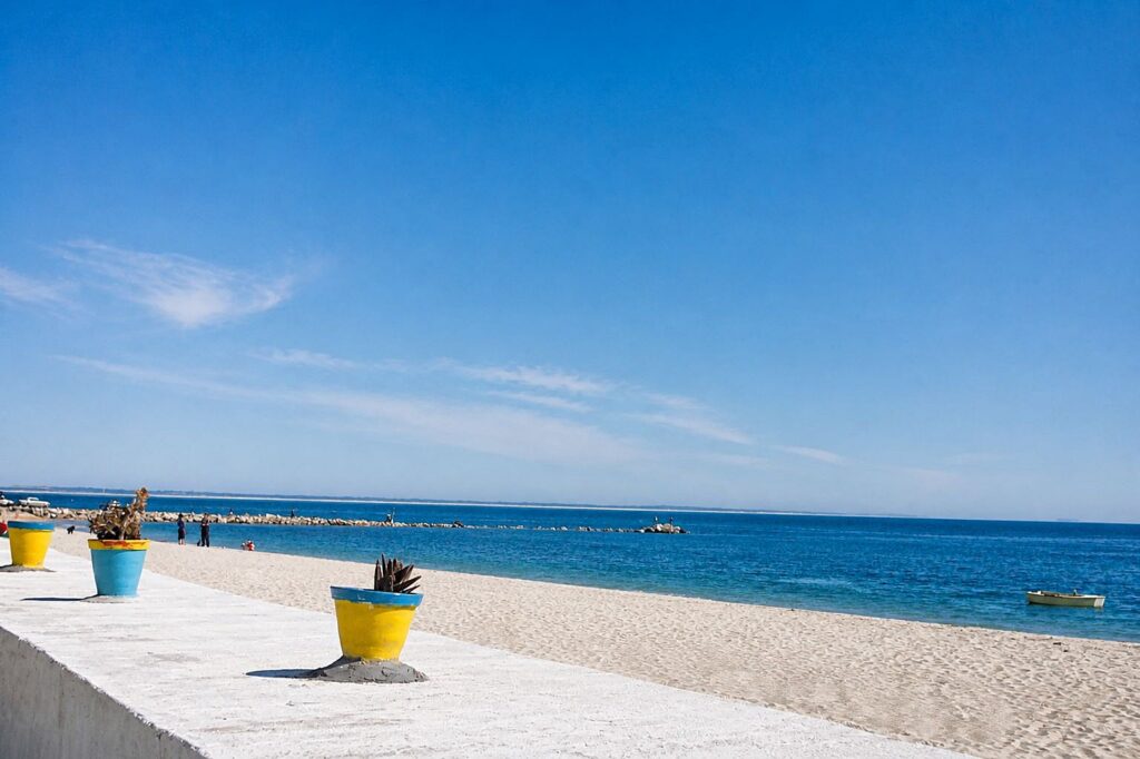 Praia ensolarada com flores e mar