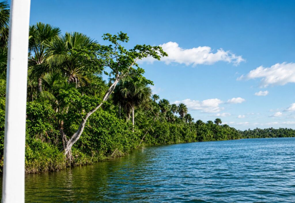 Paisagem tropical à beira-rio