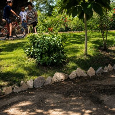 Dia ensolarado no jardim familiar