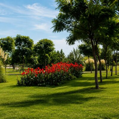 Parque ensolarado com flores vermelhas