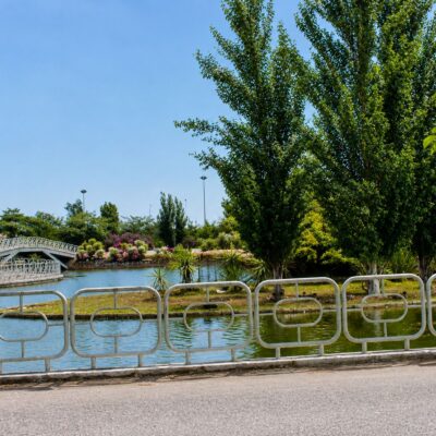 Parque tranquilo com lago e ponte