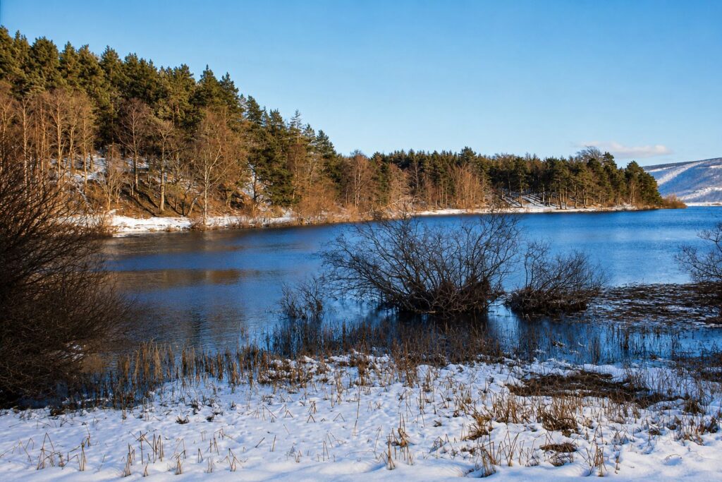 Paisagem invernal tranquila junto ao lago