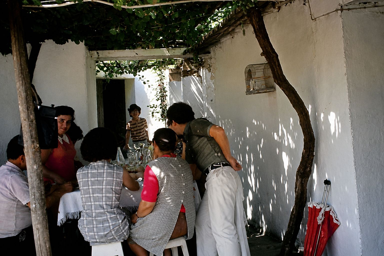 Refeição em Família sob a Pérgula Verde