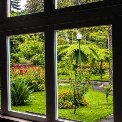 Jardim vibrante através da janela ampla