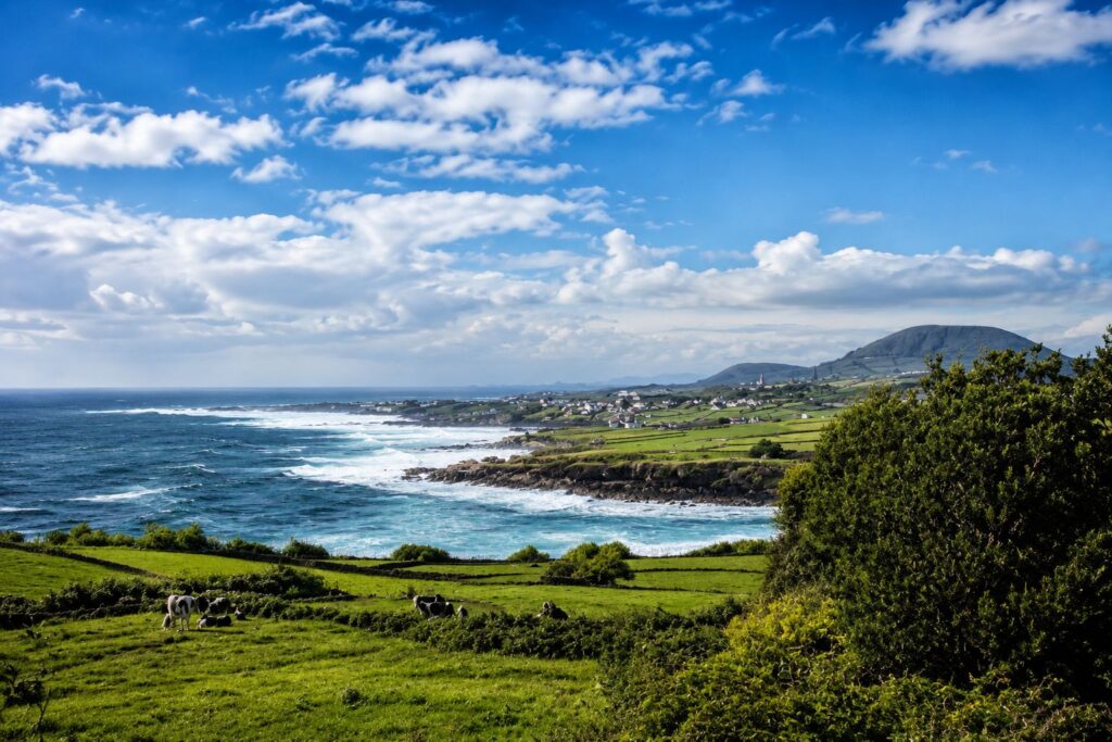 Paisagem costeira com campos verdes e vacas